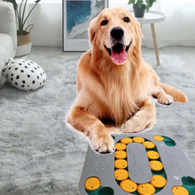 Load image into Gallery viewer, Dog Puzzle Toys I Paws &amp; Play™
