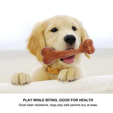 Load image into Gallery viewer, Dogs Tough Bone Chew Toys I Paws &amp; Play™
