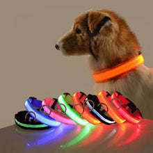 Load image into Gallery viewer, Led Dog Collar Anti-Lost Collar I Paws &amp; Play™
