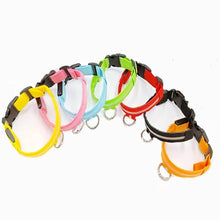 Load image into Gallery viewer, Led Dog Collar Anti-Lost Collar I Paws &amp; Play™
