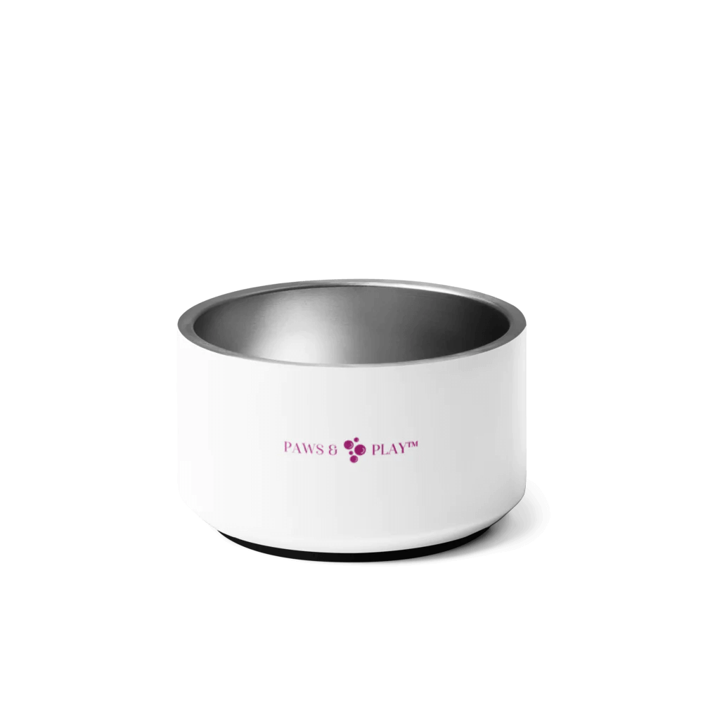 Stainless Steel Pet Bowl I Paws & Play™