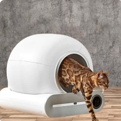 Smart Automatic Cat Litter Box I Paws & Play™